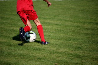 kaiyun官方网站-篮球运动员心理健康维护服务体系研究，篮球心理技能训练计划