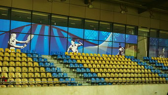 开云体育APP下载-巴西青训体系持续投入，未来足球天才持续涌现