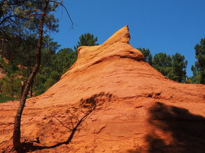 开云体育网站入口-一日英超动态阿莫林自信发声转会话题升温，阿莫子林